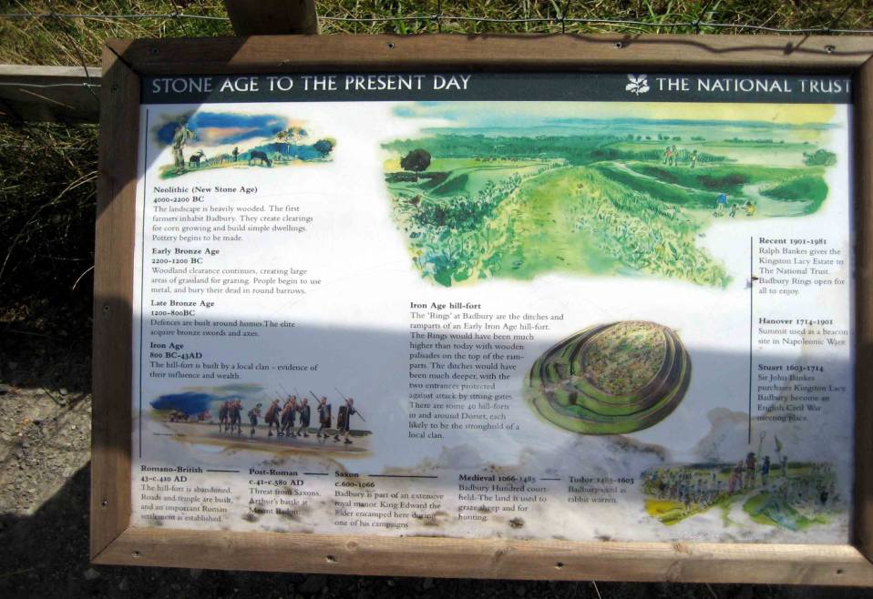 2007